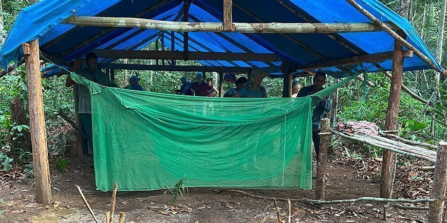 Tässä riippumattoja roikkuu